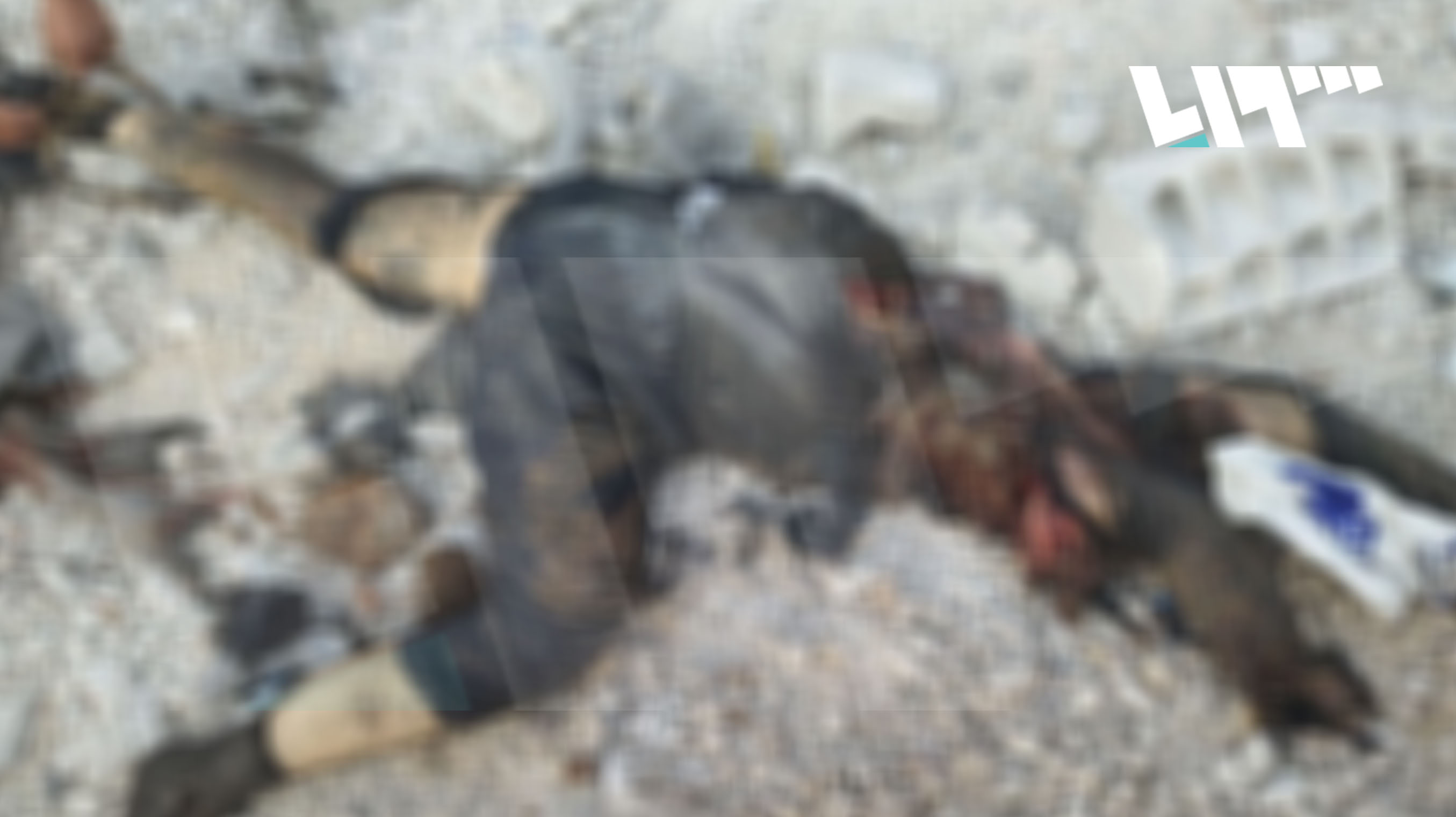 صورة القرشي بعد مقتله وتناثر أشلائه