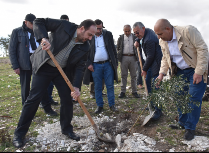 رئيس الائتلاف الوطني يشارك بحملة لزراعة 300 شجرة زيتون في عفرين.png