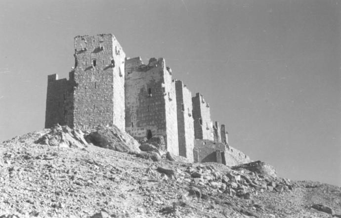 قلعة تدمر- كولار.jpeg