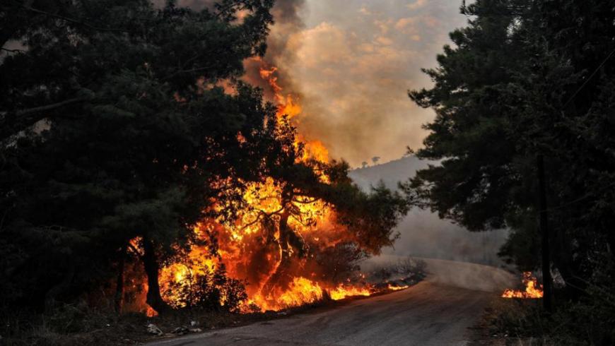 2480 حريقاً حراجياً وزراعياً في سوريا خلال عام 2020