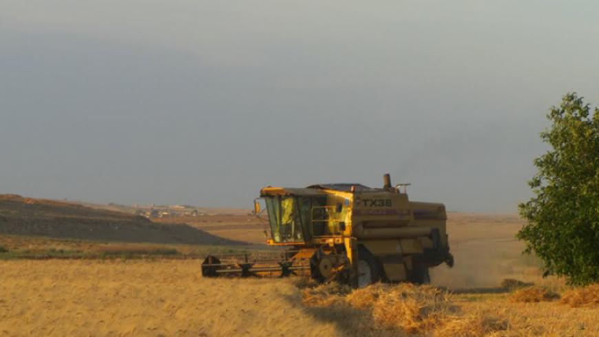 "الإدارة الذاتية": مخزوننا من القمح يكفي لحصاد 2023