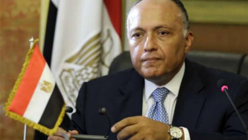 وزير الخارجية المصري: إرسال قوات عربية لسورية أمر وارد