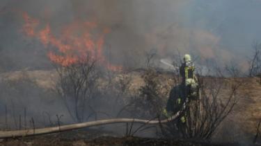 حريقٌ ضخم يلتهم الأحراج الزراعية بريف إدلب 