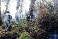 أثناء إطفاء أحد حرائق الغابات السابقة في جبال الساحل (تشرين)