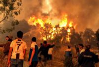 حرائق الغابات المستمرة منذ أيام في الجزائر - رويترز