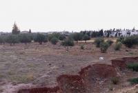 أرض زراعية في ريف حمص (خاص)