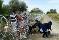 طالبو لجوء يحاولون عبر الحدود بين صربيا والمجر – " Gémes Sándor"