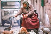 على كرسي متحرك.. أم سورية في إدلب ترعى ابنها المقعد وقططها العشرة