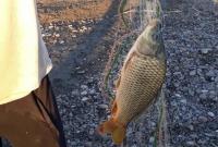صيد أسماك المياه العذبة محظور في سوريا بين 15 آذار و31 أيار 2023 (تعبيرية/فيس بوك)