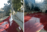 صور متداولة تظهر تصبغ مياه نهر بردى باللون الأحمر - إنترنت