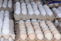 سوريون يستبعدون البيض من مائدة الفطور بعد وصول سعر الواحدة إلى 1200 ليرة