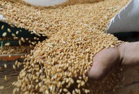 اتفاقية الحبوب بين روسيا وأوكرانيا