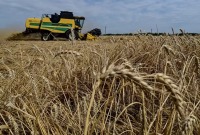 رسمياً.. روسيا تعلِّق اتفاقية الحبوب الأوكرانية