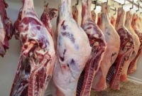 "جمعية القصابين": فجوة كبيرة بين تسعيرة التموين وأسعار اللحوم في السويداء