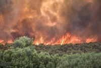 حرائق غابات اليونان (AFP)