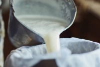 "جمعية الأجبان والألبان" تكشف أسباب ارتفاع أسعار الحليب في سوريا