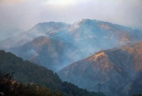 الحرائق في جبال اللاذقية