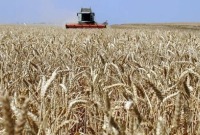 النظام يبرم عقداً مع روسيا لشراء 1.4 مليون طن من القمح