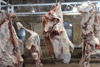 محل لبيع اللحوم في اعزاز بريف حلب - تلفزيون سوريا