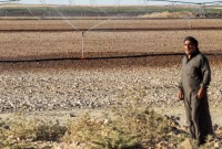 مزارع في شمال شرقي سوريا (AFP)