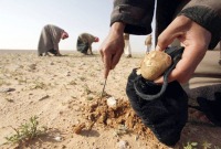 مقتل شخصان في دير الزور بانفجار لغم خلال بحثهم عن الكمأ