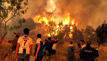 حرائق الغابات المستمرة منذ أيام في الجزائر - رويترز