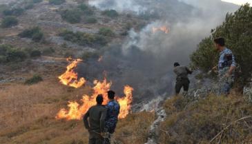حرائق في إحدى الغابات في سوريا 