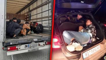 توقف طالبي اللجوء إثر عمليات تفتيش بالقرب من الحدود الألمانية البولندية - أيلول 2022 (الشرطة الألمانية)