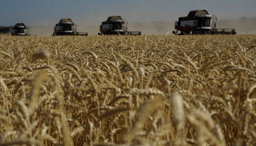 موسكو تهدد بتعليق اتفاق الحبوب 