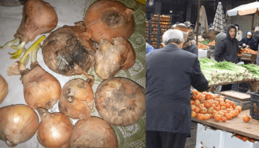 المؤسسة السورية للتجارة تبيع البصل فاسداً 
