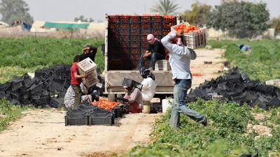 syrian_workers_jordan1.jpg