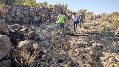 عمليات إخماد الحريق الذي نشب ضمن كروم زراعية قرب قرية سالة - إنترنت