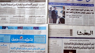 صحف النظام
