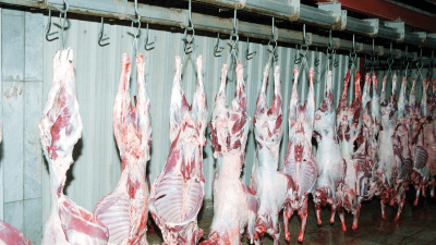 أسعار اللحوم في حماة تتضاعف خلال أقل من شهر