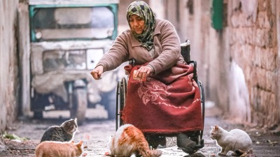 على كرسي متحرك.. أم سورية في إدلب ترعى ابنها المقعد وقططها العشرة