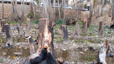 دمشق تخلع ثوبها الأخضر بسبب التحطيب .. صور خاصة من داخل العاصمة