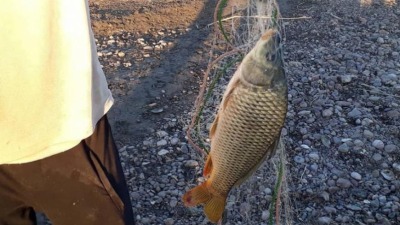صيد أسماك المياه العذبة محظور في سوريا بين 15 آذار و31 أيار 2023 (تعبيرية/فيس بوك)