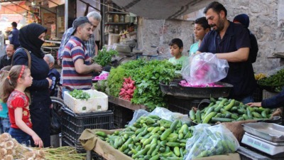 تحذيرات من ارتفاع كبير في أسعار الخضار الصيفية وعلى رأسها الخيار في سوريا (سانا)