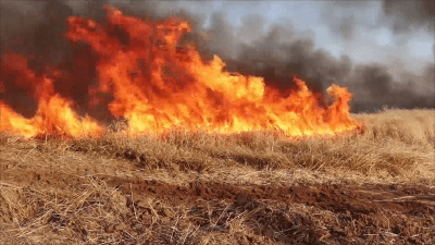فحم "نرجيلة" يشعل حريقاً في أرض زراعية شرقي دير الزور