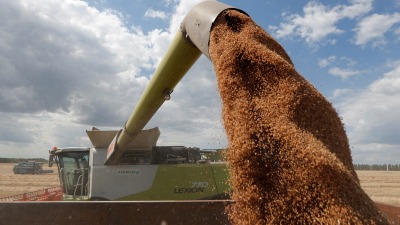 "عرنوس" يتوقع تسلم مليون طن من القمح.. هل تكفي الكمية مناطق سيطرة النظام؟