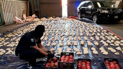 ضابط جمارك سعودي يفتح ثمار الرمان للبحث عن الكبتاغون بعد إحباط عملية تهريب أكثر من خمسة ملايين حبة منه داخل تلك الثمار في 23 نيسان 2021