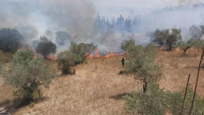 إخماد حريق كبير في ريف اللاذقية، 21 تموز 2023 (فيس بوك)