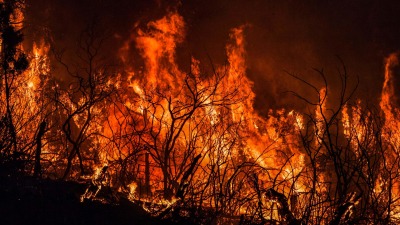 حرائق الغابات في اللاذقية