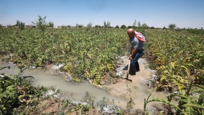 مزارع سوري يفتح قناة لجر المياه بين شتول غرسها في حقله في الغوطة الشرقية بريف دمشق - (Getty)