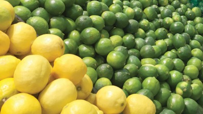 ارتفاع سعر الليمون في الأسواق السورية وتوقعات بزيادة الإنتاج الموسم القادم