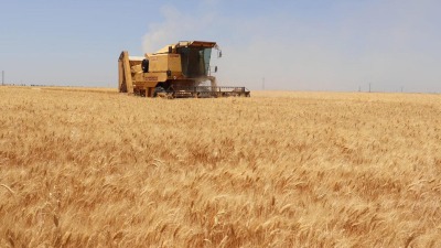 النظام بحاجة لاستيراد أكثر من 2 مليون طن لسد احتياجات مناطقه من القمح