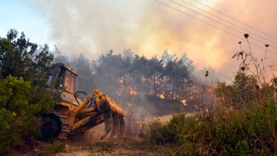 "منصة الغابات": انخفاض تدريجي بمؤشر الحرائق في سوريا