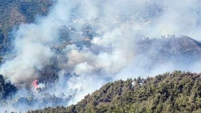 "فيرمو" تحذر من مستويات خطرة لاندلاع حرائق في المنطقة الشرقية لغابات سوريا