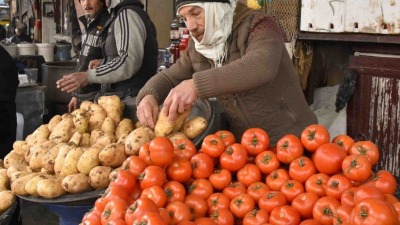 حماة.. ارتفاع أسعار البندورة والبطاطا بسبب تصديرها للعراق