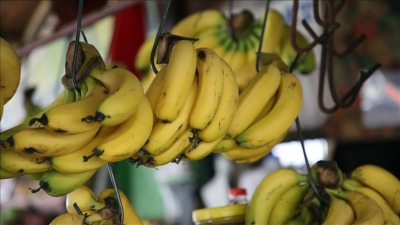 الموز أصبح يعتبر من الكماليات بسبب ضعف القدرة الشرائية للمواطنين.